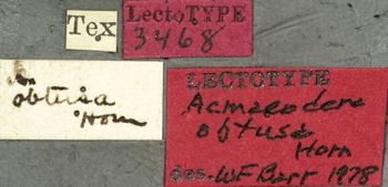 Media type: image;   Entomology 8030 Aspect: labels
